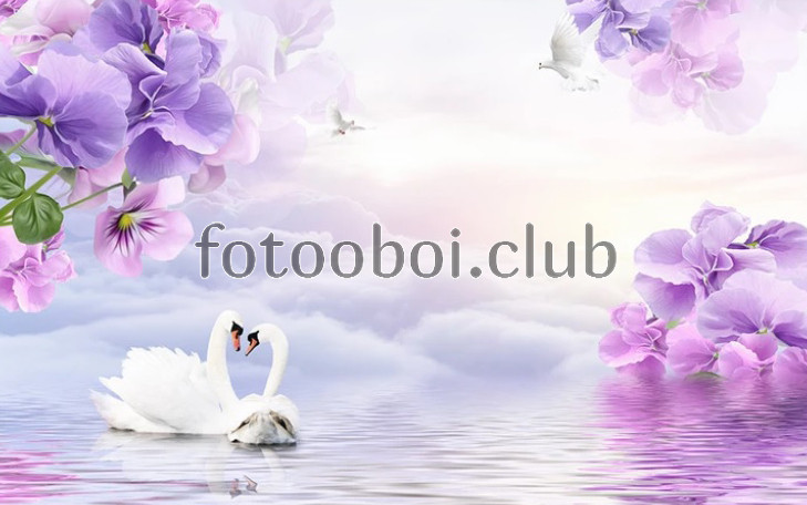цветы, лебеди, озеро, пруд, 3д, 3d, стереоскопические, облака