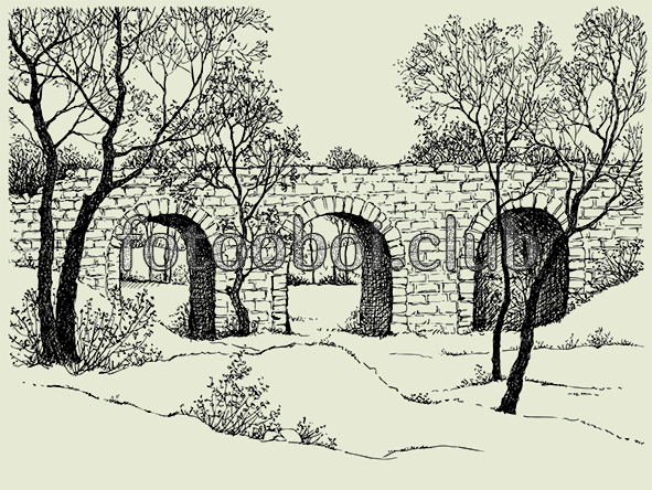 натюрморт, мост, деревья, арка 
