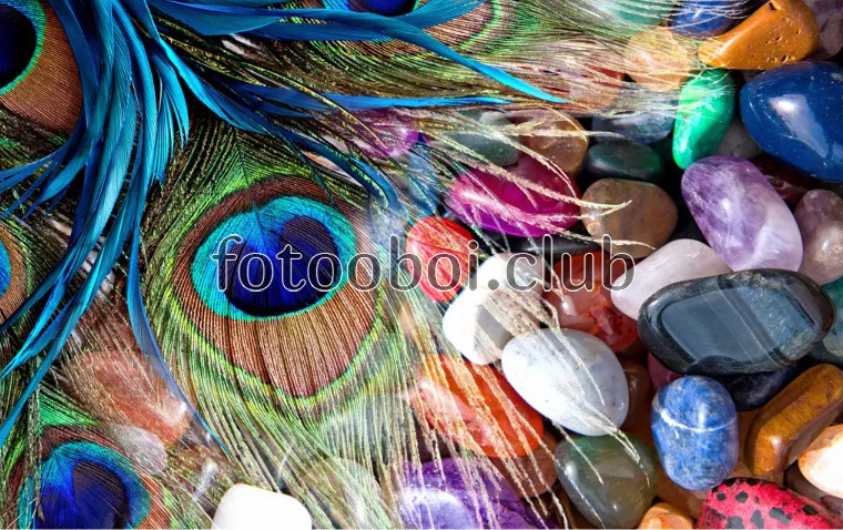 цветные камни, перья, перо павлина, 3д, 3d, на стену, стена, дизайнерские