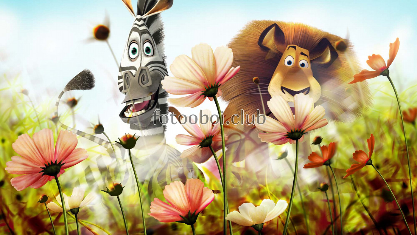мультик, детские, мультфильм, лев, зебра, Мадагаскар, цветы, алекс, марти 