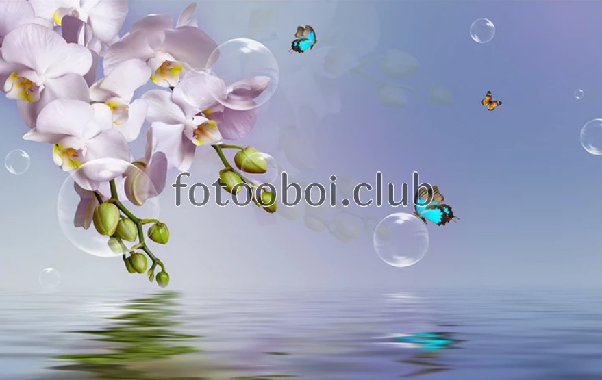 орхидеи, пузыри, вода, 3д, 3d