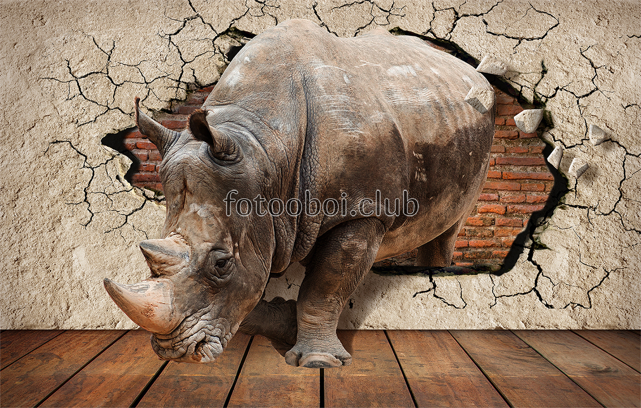 носорог, 3д, 3d, трещины, животные 
