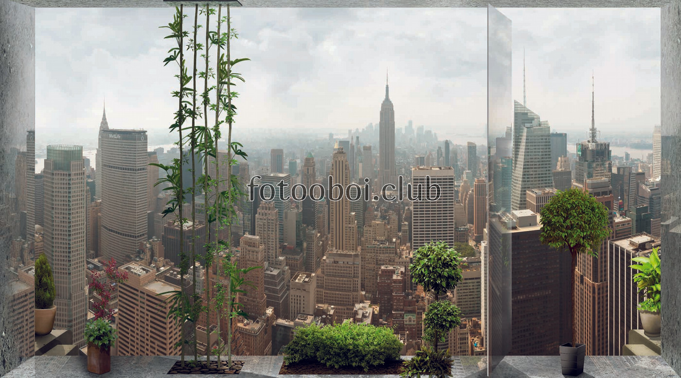 вид из окна, манхеттен, город, растения, дома, нью-Йорк 
