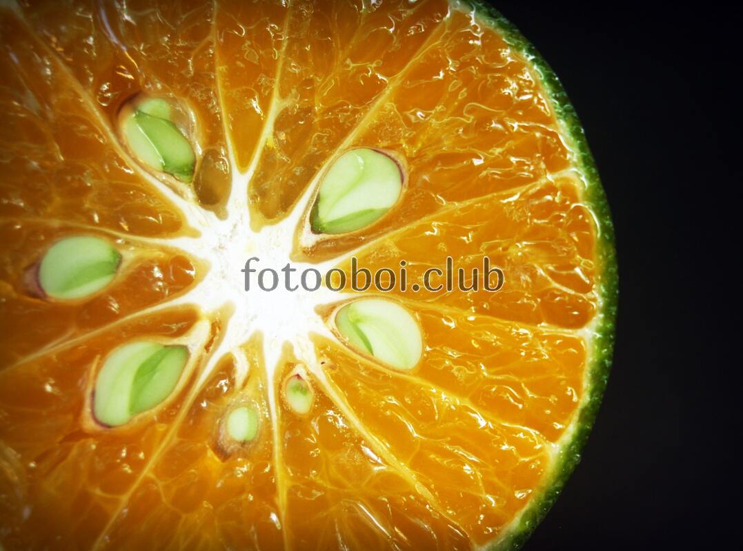 цитрус, фрукты, кислота, яркий, апельсин