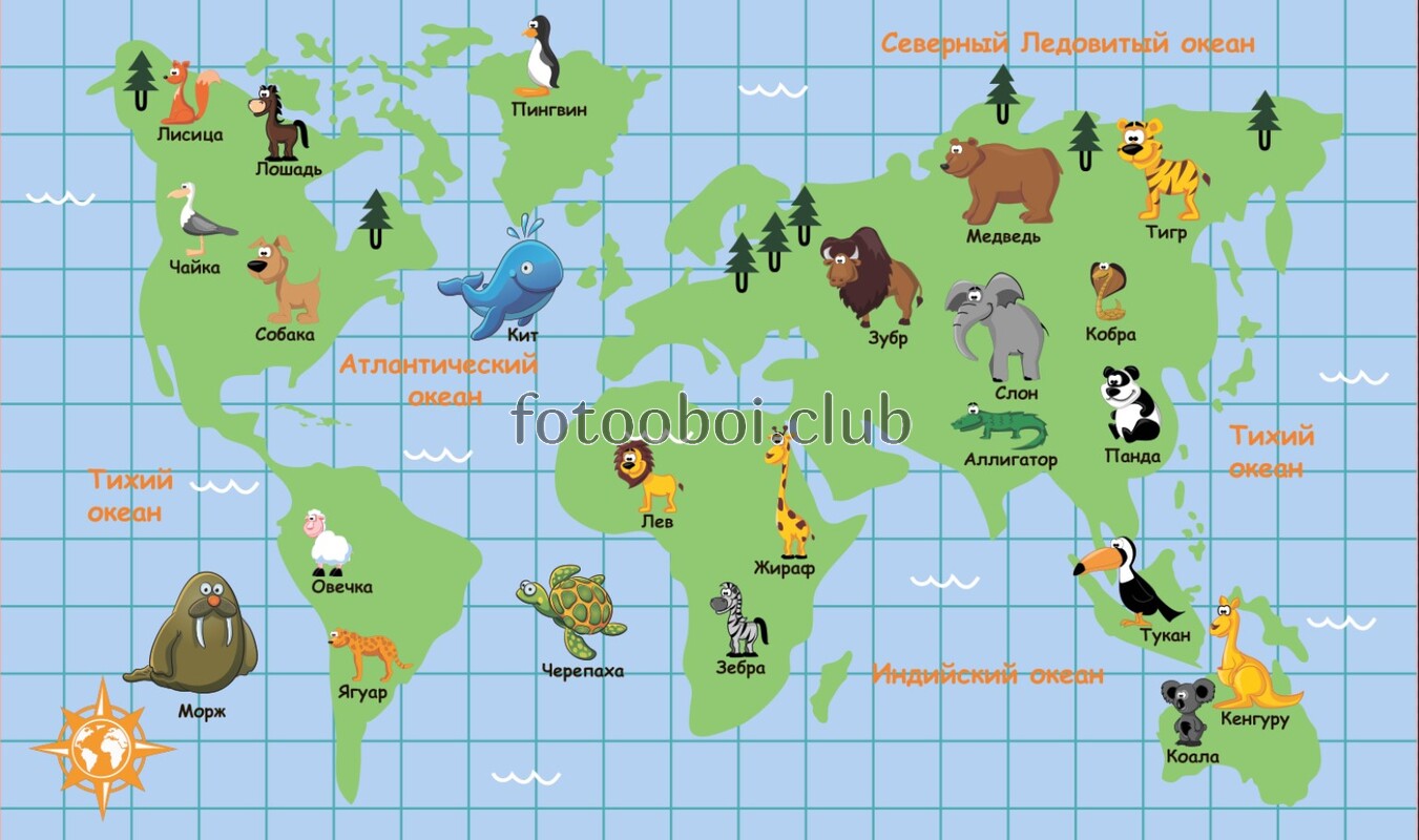 детские, карта мира, карта, для мальчиков, для девочек, животные 