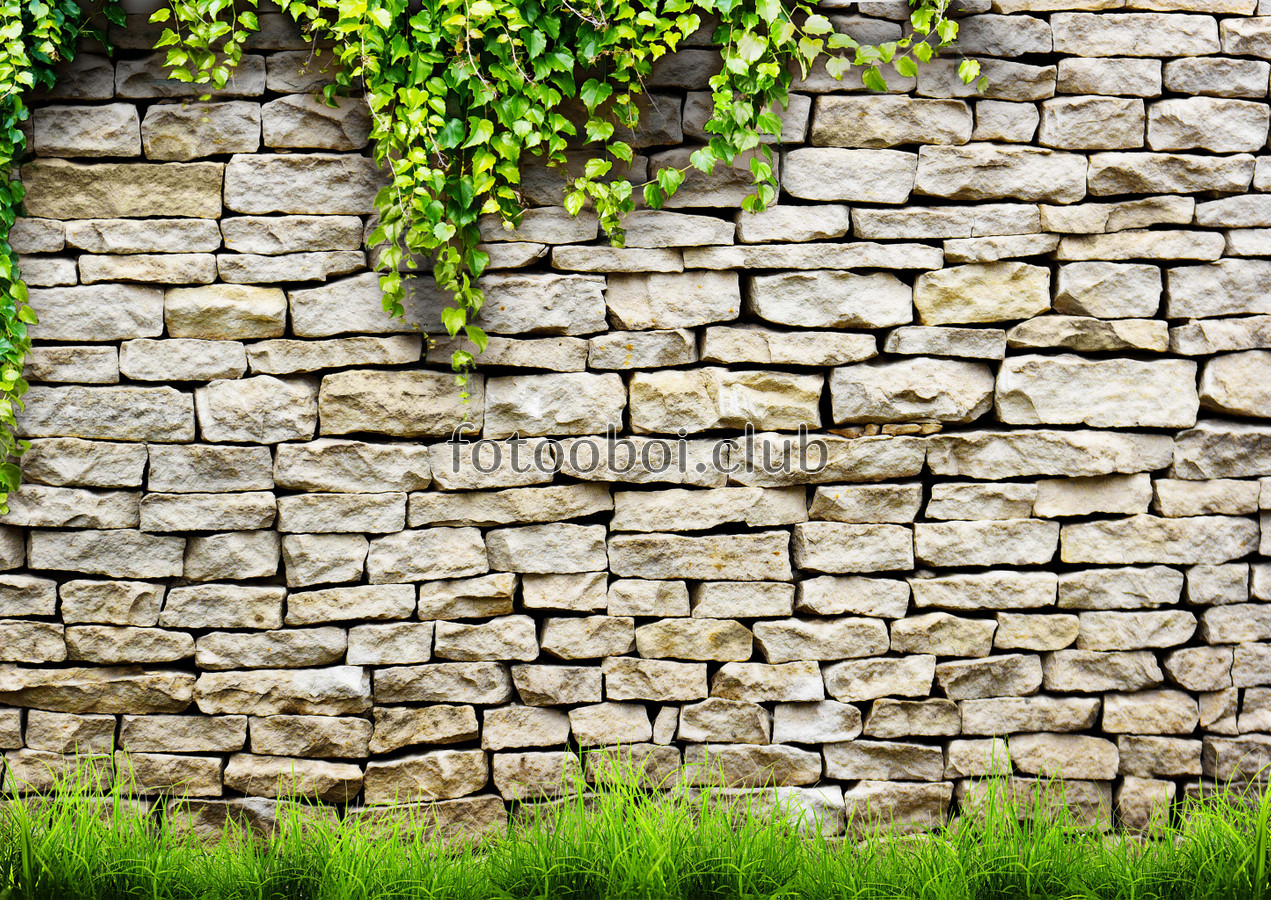 на стену, стена, кирпич, камень, лоза, трава, дизайнерские