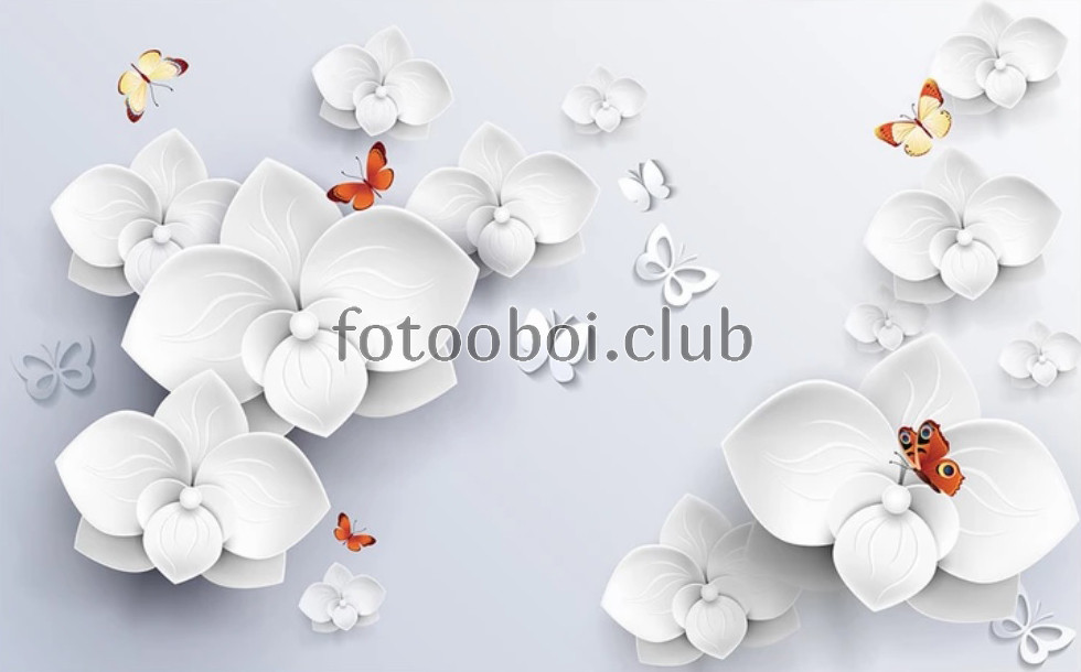 белые орхидеи, бабочки, 3д, 3d, дизайнерские