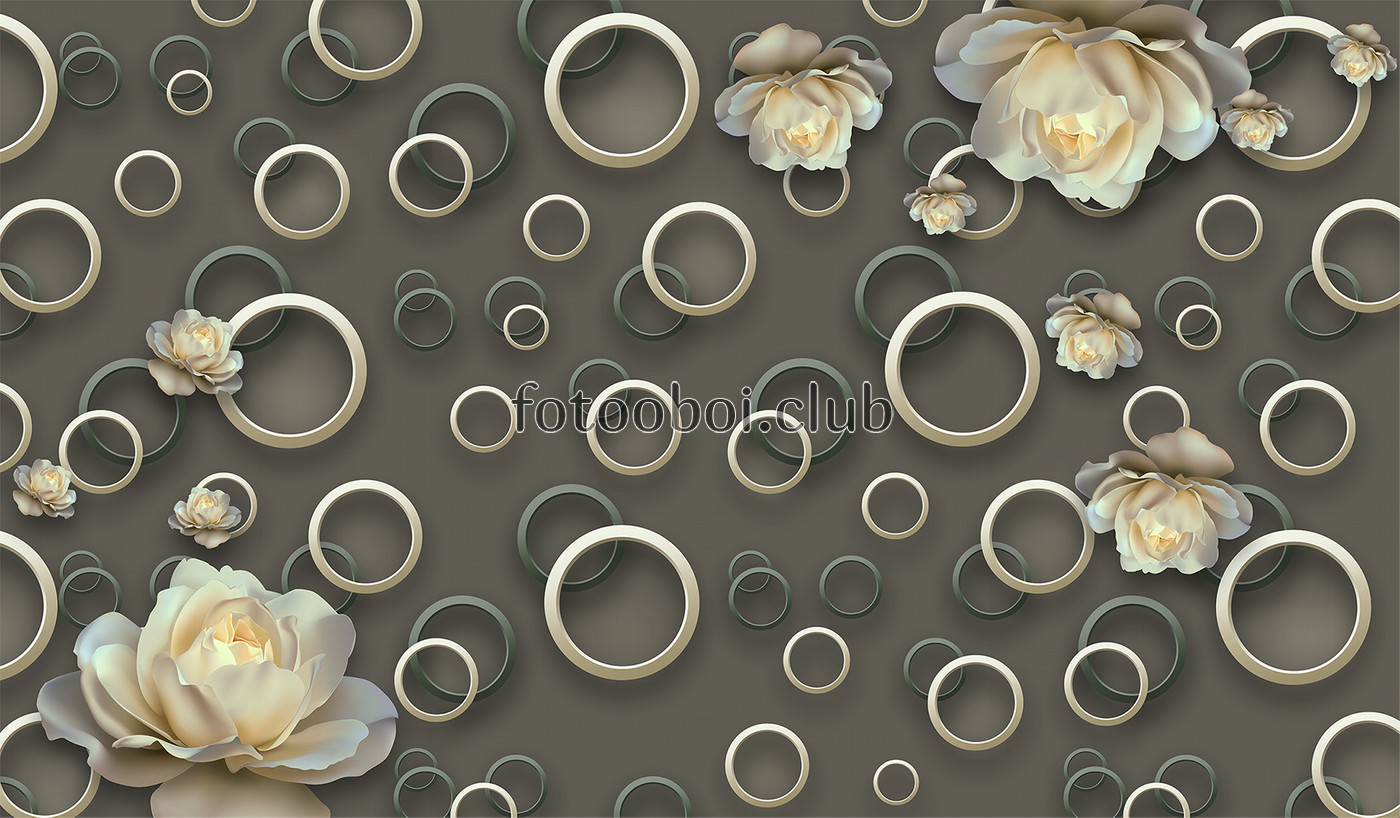 круги, абстракция, цветок, роза, стереоскопические, 3д, 3d, розы, дизайнерские 