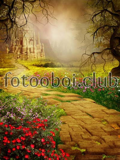 замок, тропинка, цветы, лес, туман, деревья, ветви