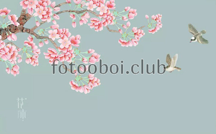 сакура, дерево, цветы, птицы