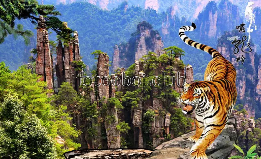 тигр, горы, вершины, скалы