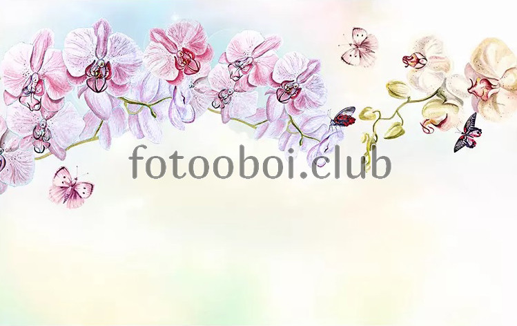 орхидеи, бабочки, живопись, акварель, светлые