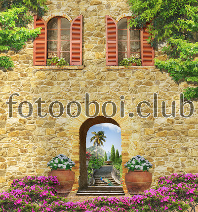 дом, цветы, окна, арка, пальмы, лестница, павлин, ваза с цветами, ваза
