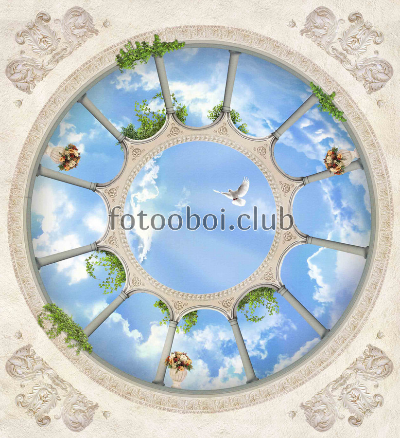 небо, потолок, арка, арки, голубь, птицы, ваза, архитектура, облака, лепнина 
