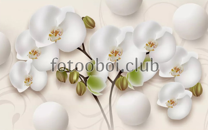 белые, орхидеи, шары, 3д, 3d