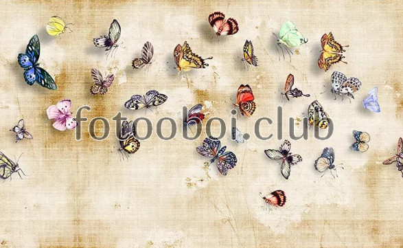 бабочки, холст, 3д, дизайнерские, коллекция