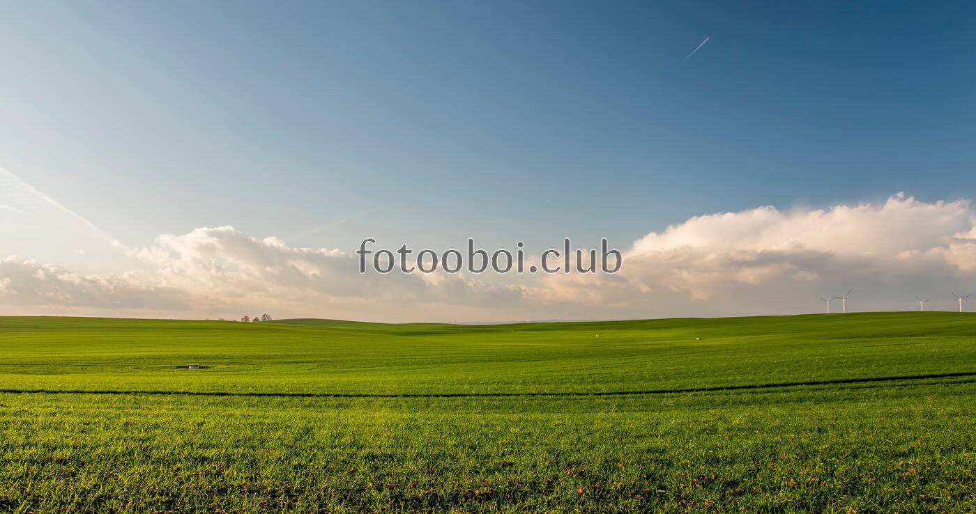 поле, небо, облака, день, природа, трава
