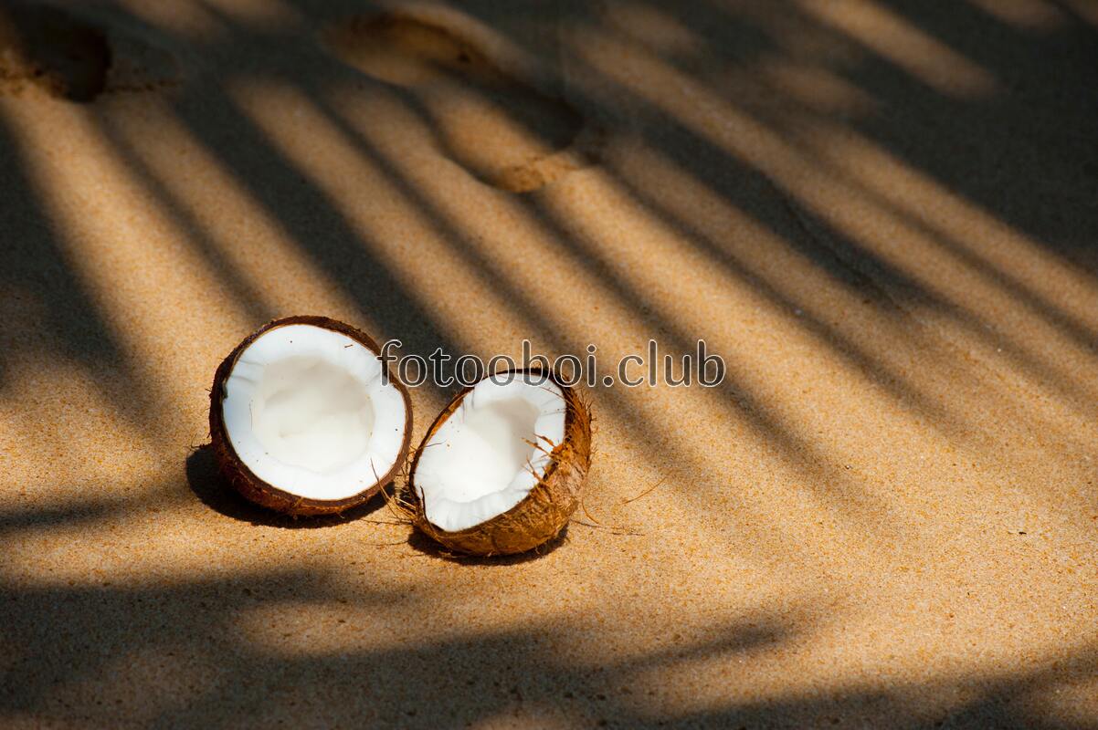 кокос, пляж, природа, море, жара