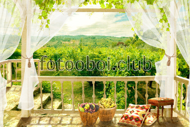 веранда, балкон, терраса, виноград, сад, деревья
