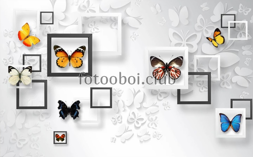 бабочки, квадраты, 3д, 3d, дизайнерские