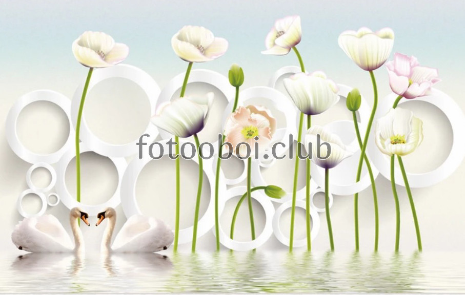 белые маки, цветы, кольца, вода, лебеди, 3д, 3d
