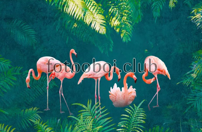 джунгли, розовые фламинго, листья, папоротник, 3д, 3d