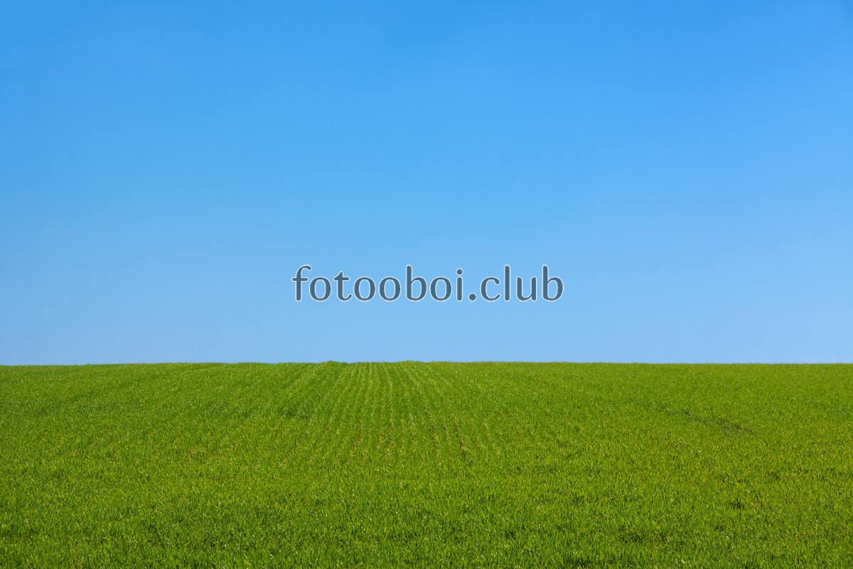поле, небо, облака, день, природа, трава