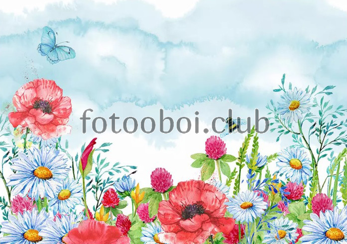 акварель, поле цветов, ромашки, маки, живопись