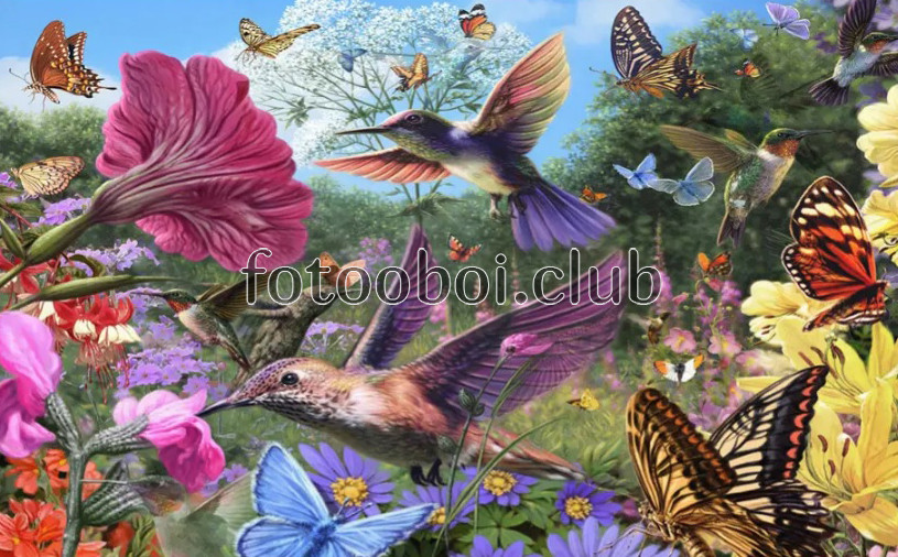 птицы, колибри, бабочки, цветы, дизайнерские