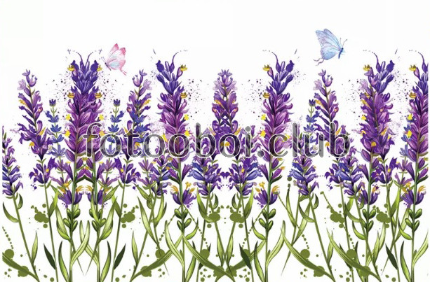лаванда, цветы, бабочки, цветок, фиолетовые, бабочка