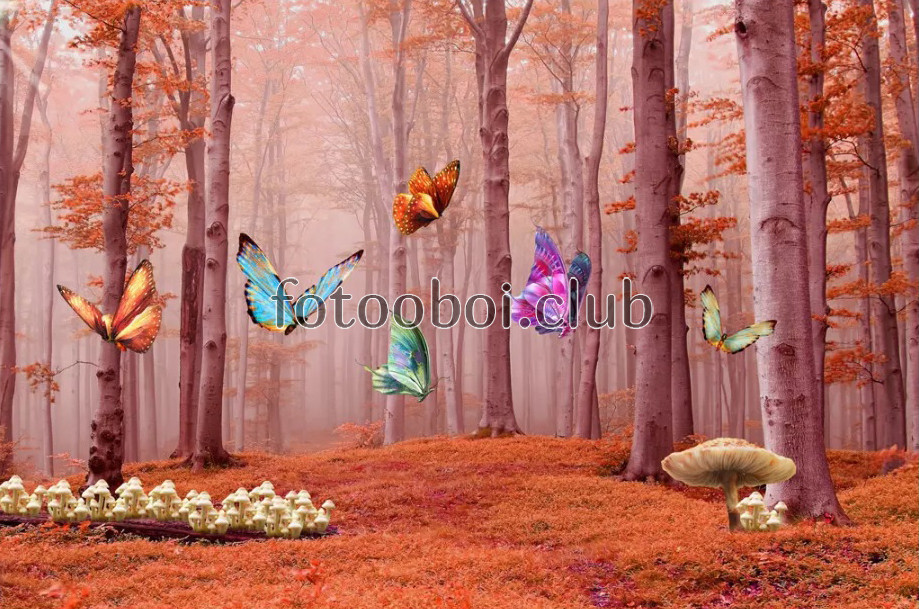 лес, осень, бабочки, грибы, сказочные, дизайнерские, для мальчика, для девочки, детские