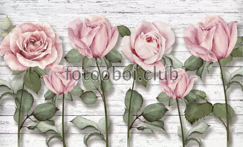 доски, розовые розы, розы, цветы, 3д, 3d