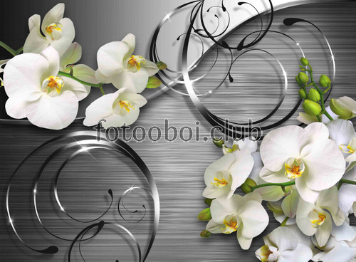 орхидея, цветок, белая орхидея, белые, растение,3д, 3d, на стену 