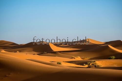 пустыня, дюны, кусты, облака, засуха