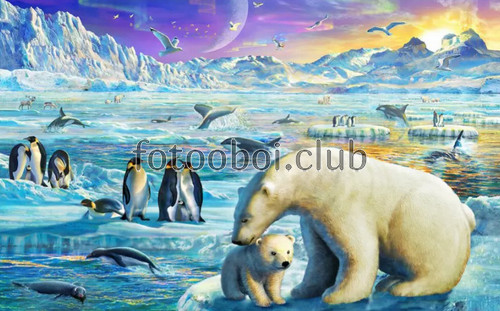 север, белые медведи, льдины, пингвины, детские, для мальчика, для девочки