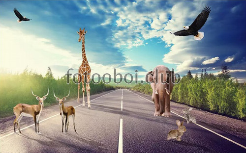 трасса, дорога, животные, слон, жираф, заяц, кролик, кенгуру, детские, 3д, 3d