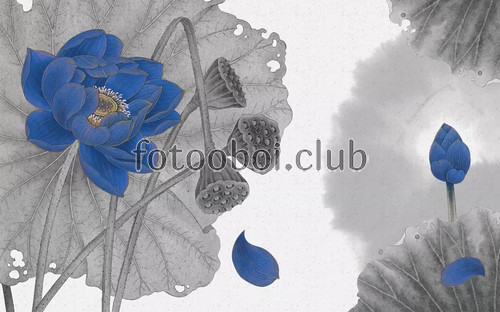 лилии, синие кувшинки, дизайнерские, цветы