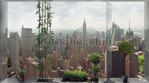 вид из окна, манхеттен, город, растения, дома, нью-Йорк 
