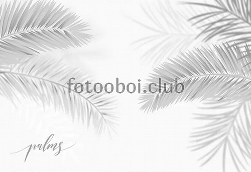 пальмовые листья, папоротник, серые