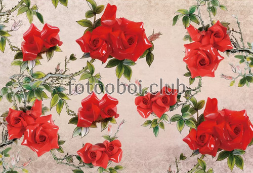 арт обои, красные розы, цветы, 3д, 3d