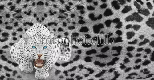 белый леопард, дизайнерские, 3д, 3d