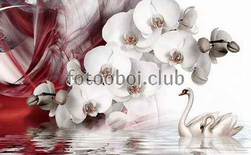 лебеди, белая орхидея, красная дымка, 3д, 3d, дизайнерские