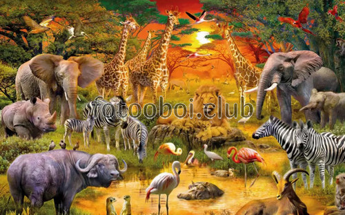 саванна, водопой, животные, лев, косуля, жираф, слон, фламинго, птицы, детские, для мальчика, для девочки, закат