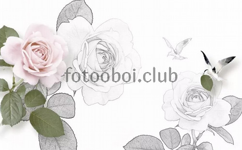 розовая роза, рисунок, карандашом, птицы, 3д, 3d