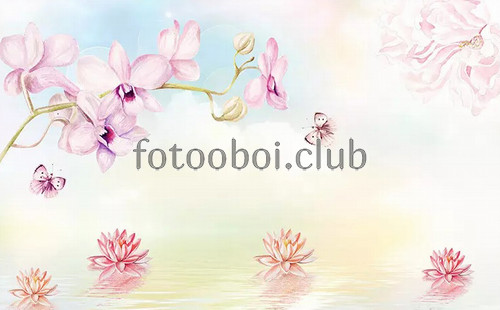 орхидеи, лилии, кувшинки, вода, акварель, живопись