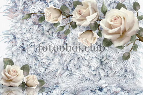 розы, белые розы, листья, папоротник, 3д, 3d