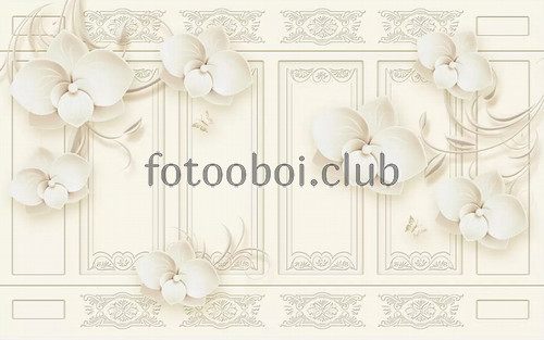 цветы, белые орхидеи, узор, 3д, 3d