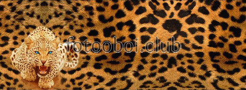 леопард, пятна, дизайнерские, 3д, 3d, животные