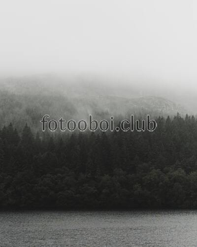 озеро, лес, горы, туман, вечер, вода