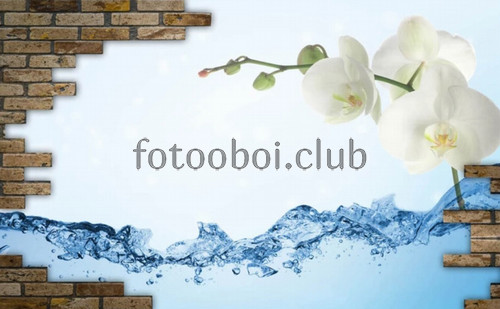 орхидея над водой, кирпичная стена, 3д, 3d